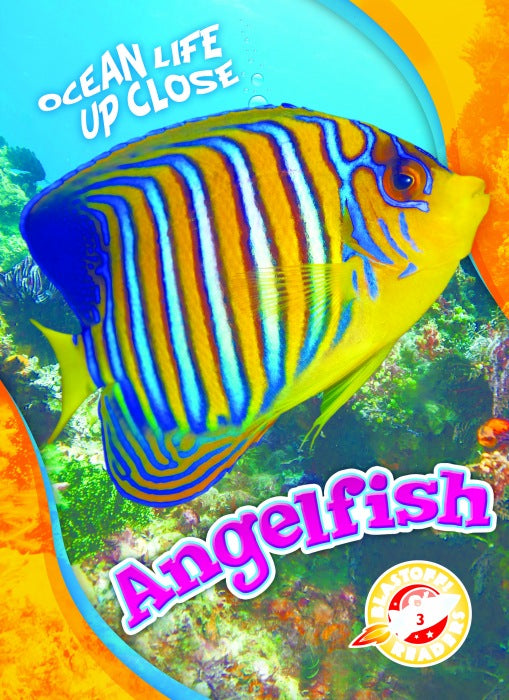 Angelfish