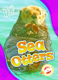 Sea Otters