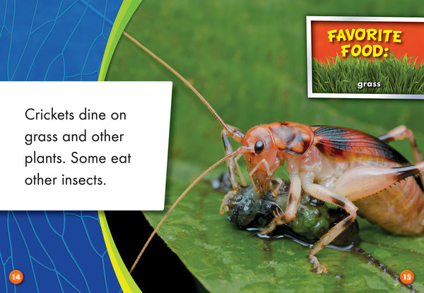Crickets