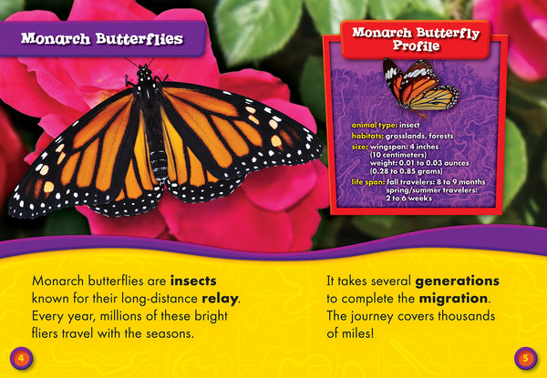 Monarch Butterfly Migration