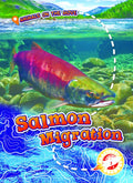 Salmon Migration
