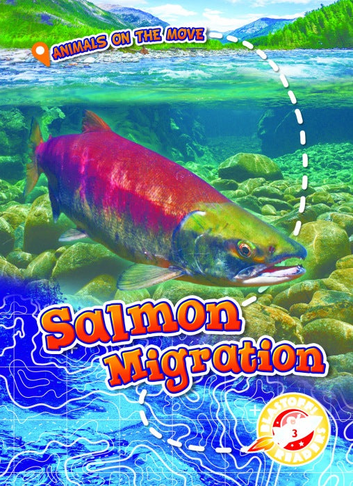 Salmon Migration