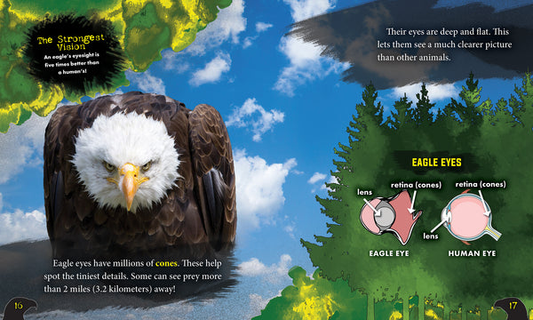 Eagles