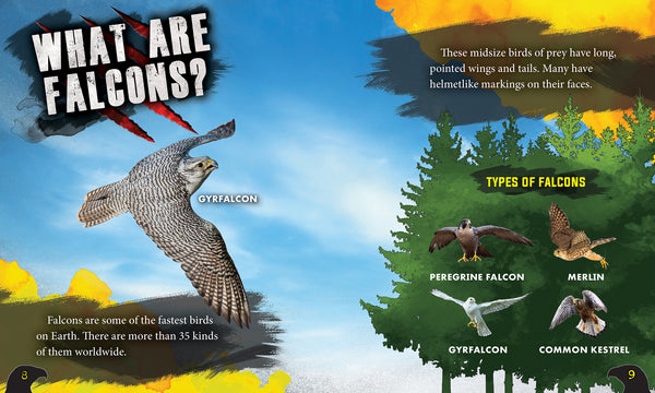 Falcons