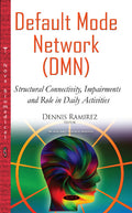 Default Mode Network (DMN)