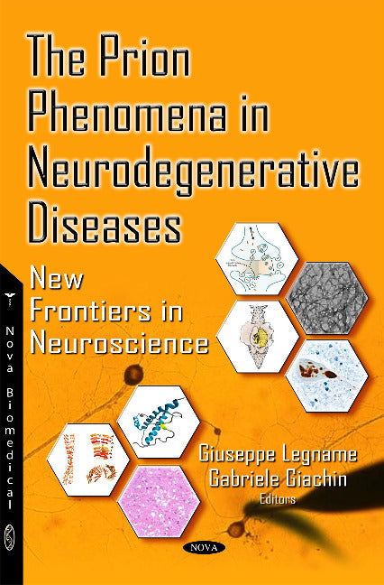 Prion Phenomena in Neurodegenerative Diseases