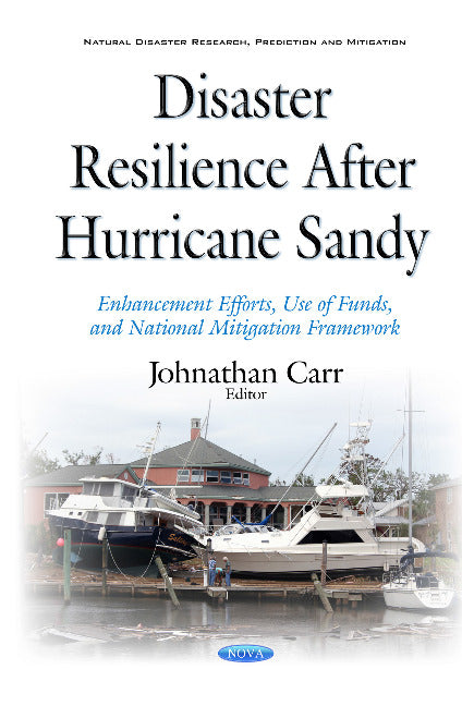 Disaster Resilience after Hurricane Sandy