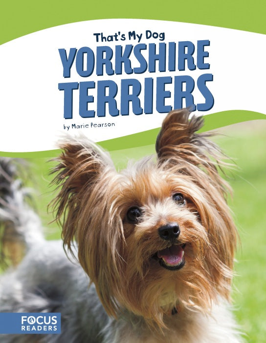 Yorkshire Terriers