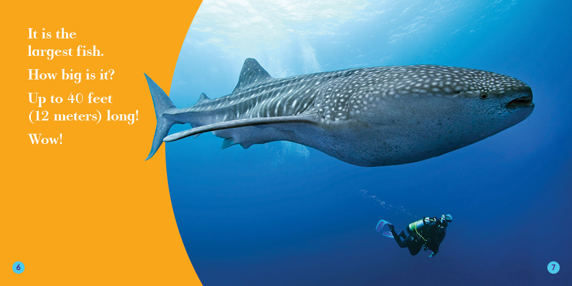 Whale Shark