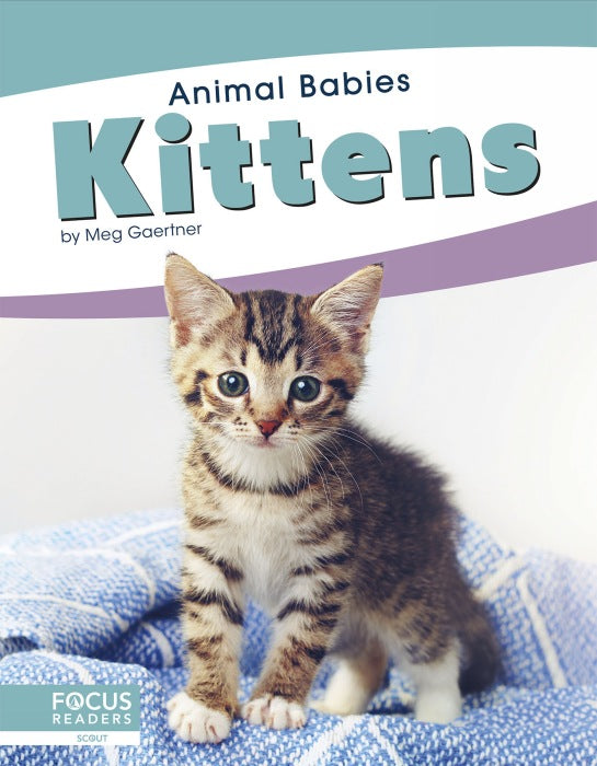 Kittens