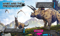 Triceratops