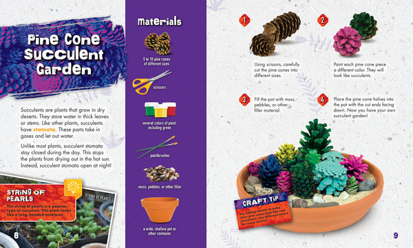 Seed Crafts