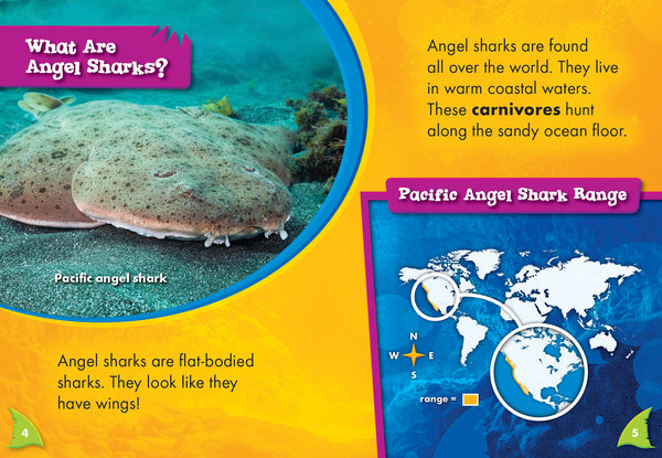 Angel Sharks