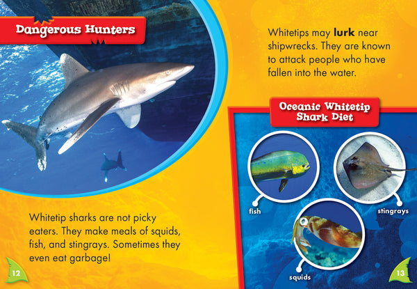 Oceanic Whitetip Sharks