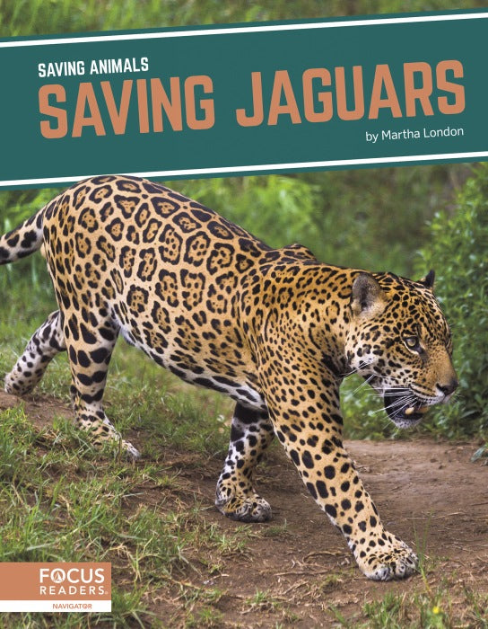 Saving Jaguars