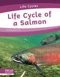 Life Cycle of a Salmon