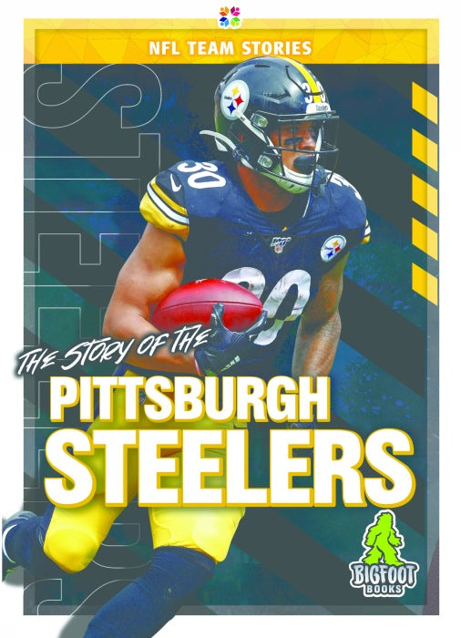 The Story of the Pittsburgh Steeler