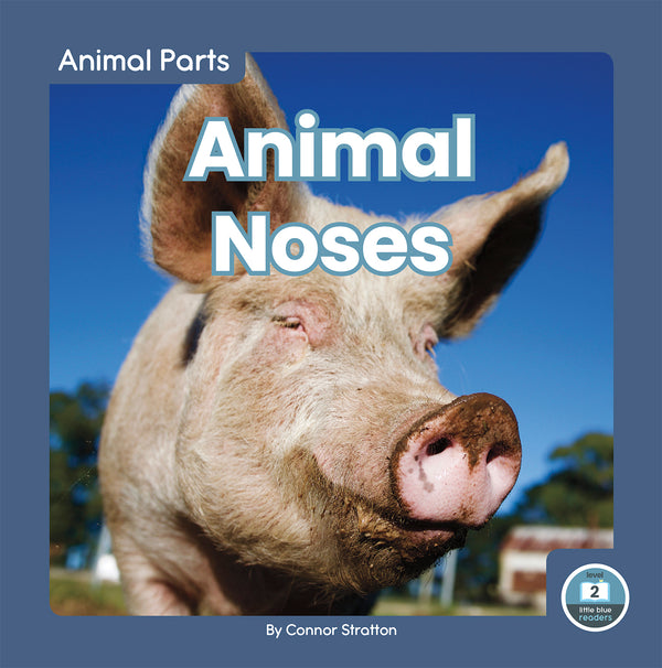 Animal Noses
