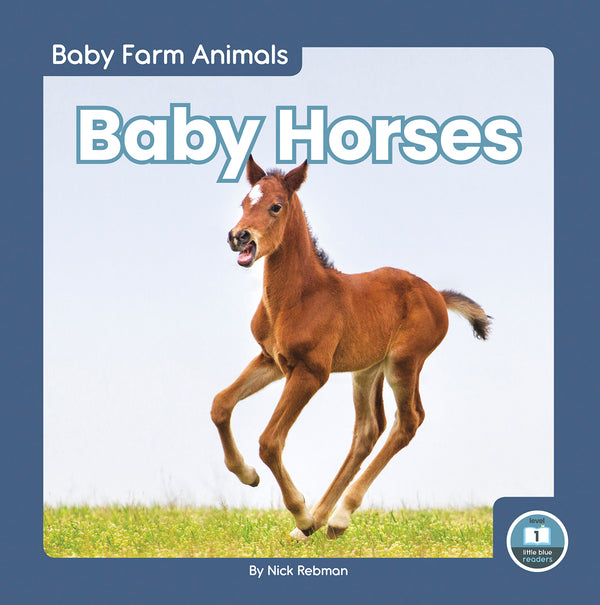 Baby Horses