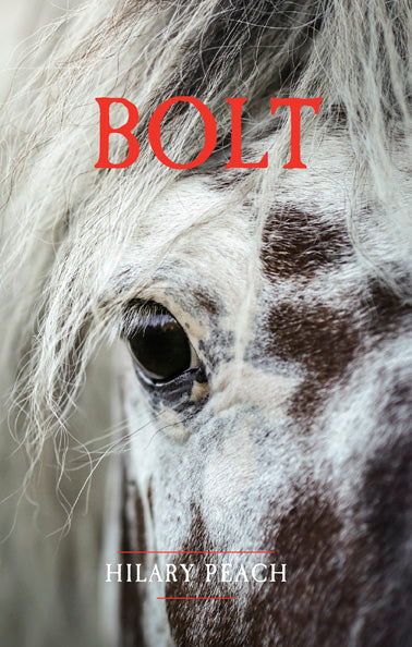 Bolt