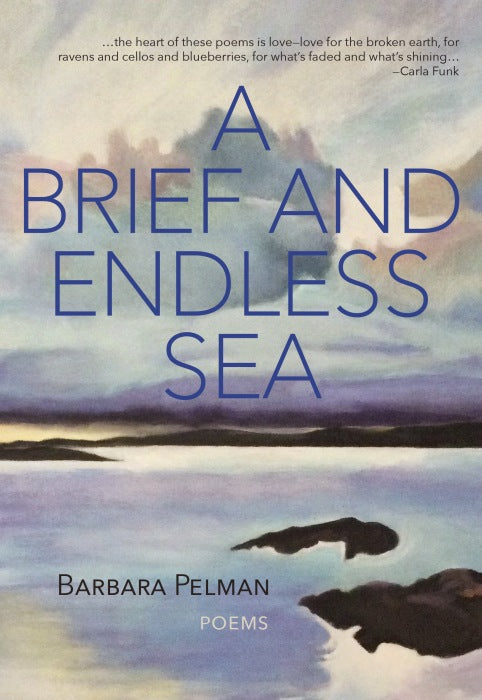 A Brief and Endless Sea