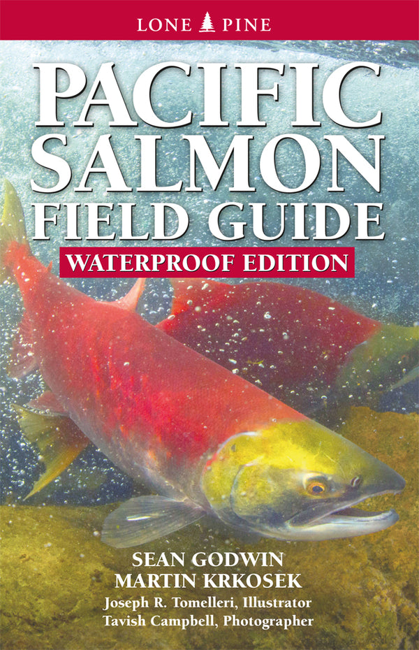 Pacific Salmon Field Guide