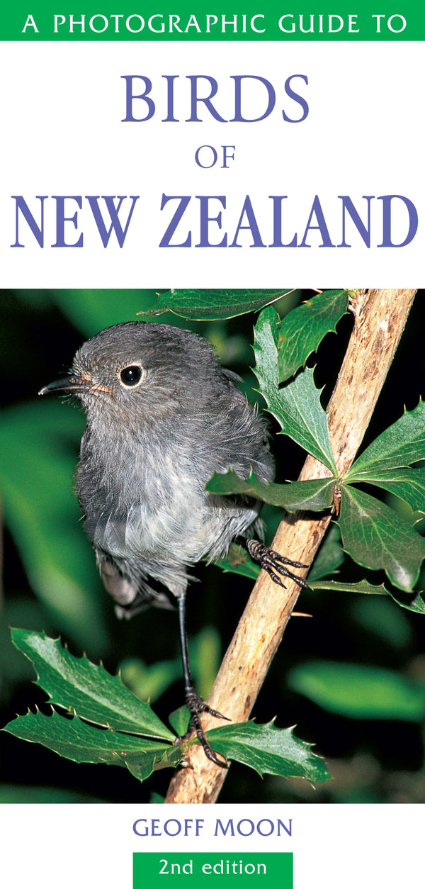 Photographic Guide to Birds of New Zealand