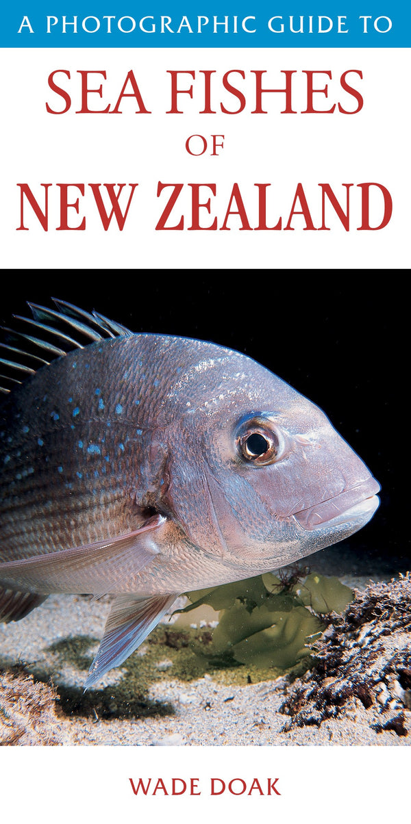 Photographic Guide to Sea Fishes of New Zealand