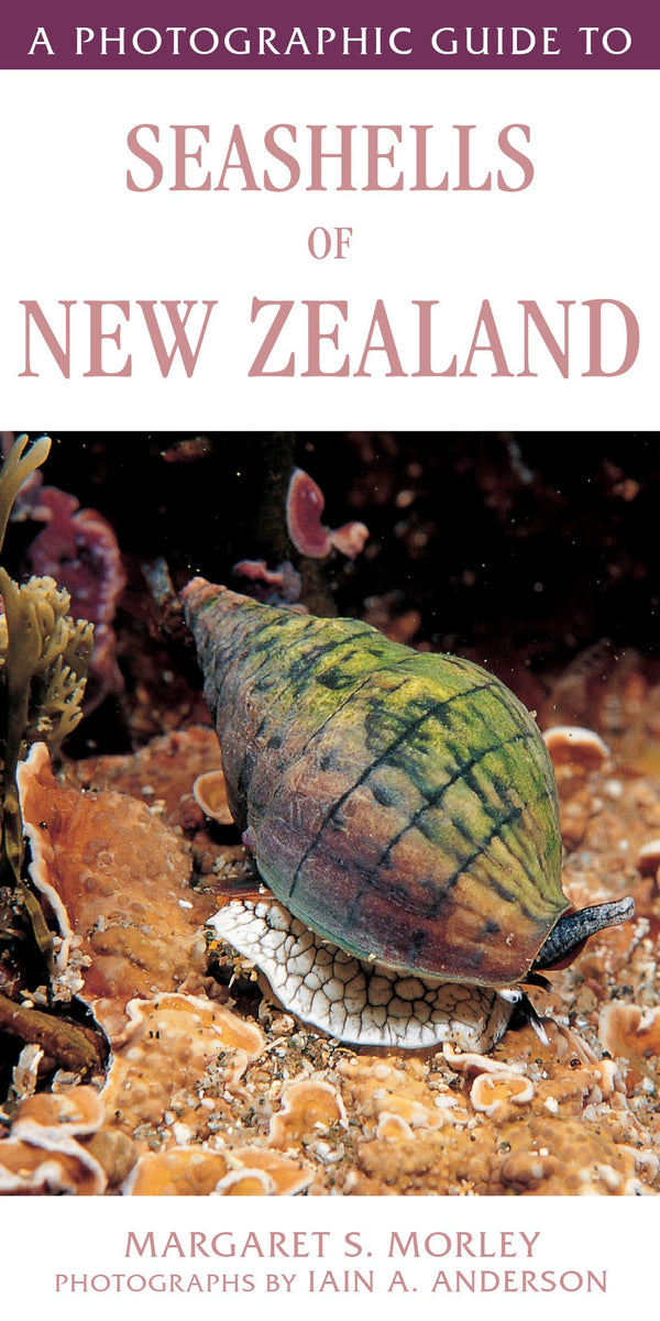 Photographic Guide to Seashells of New Zealand