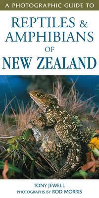 Photographic Guide to Reptiles & Amphibians of New Zealand