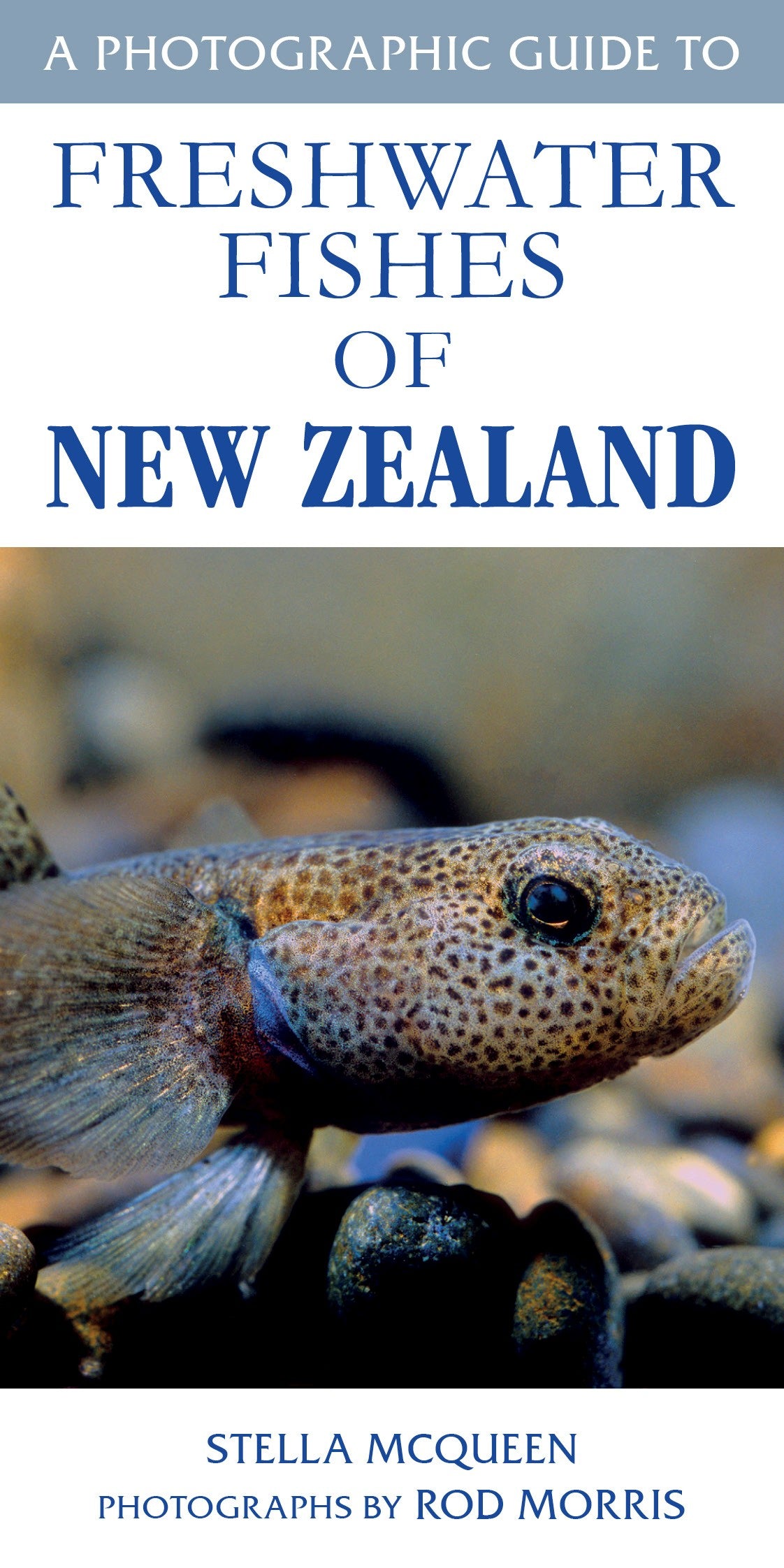 Photographic Guide to Freshwater Fish of New Zealand
