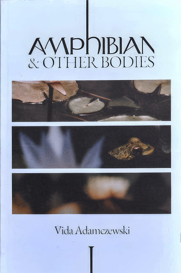 Amphibian and Other Bodies
