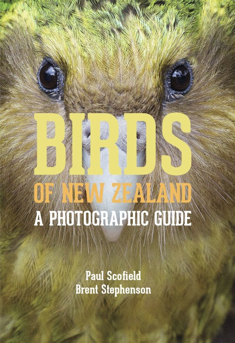 Birds of New Zealand