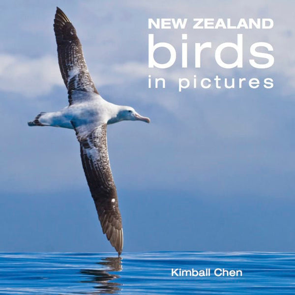 New Zealand Birds in Pictures