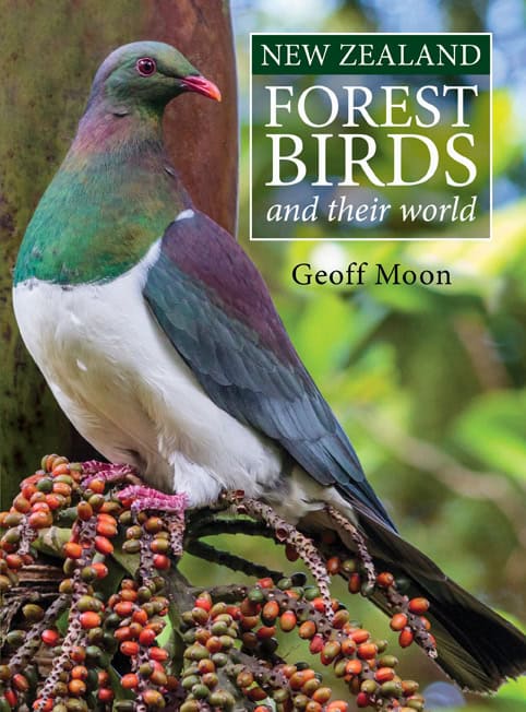 New Zealand Forest Birds