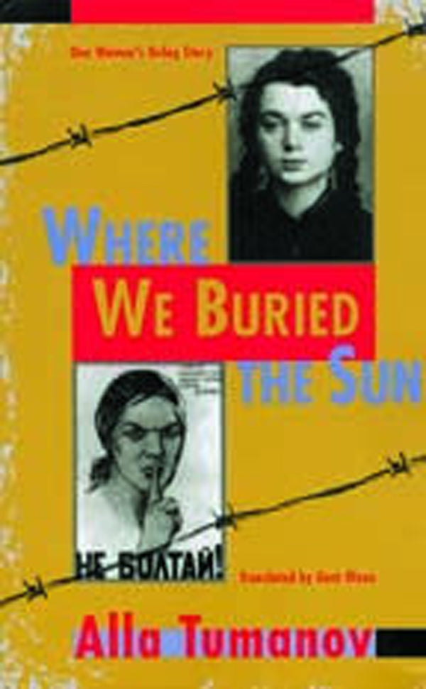 Where We Buried the Sun