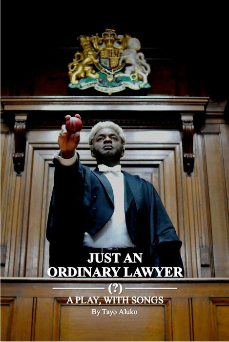 Just An Ordinary Lawyer