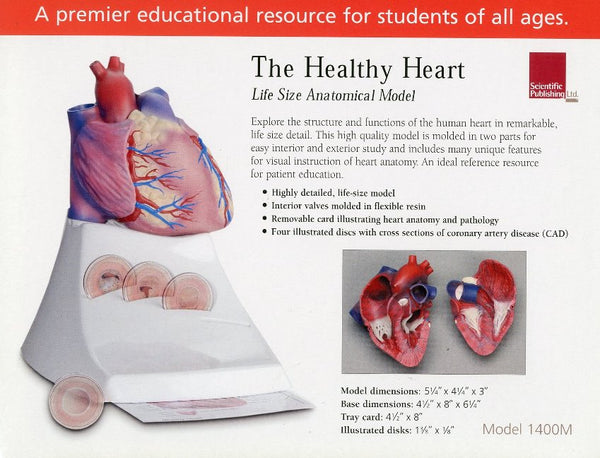 Healthy Heart