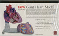 Healthy Heart