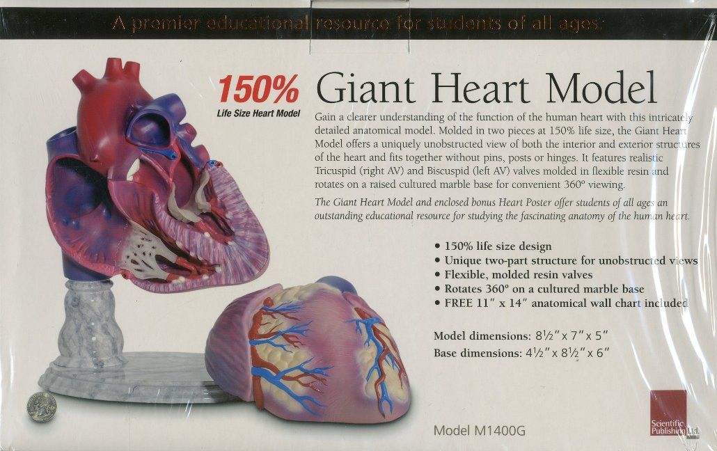 Healthy Heart