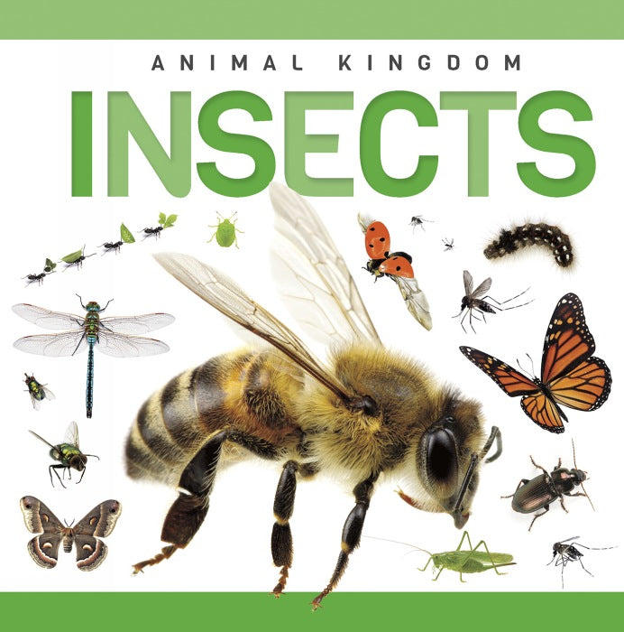 Insects