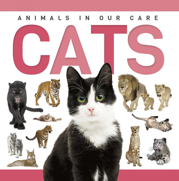 Cats