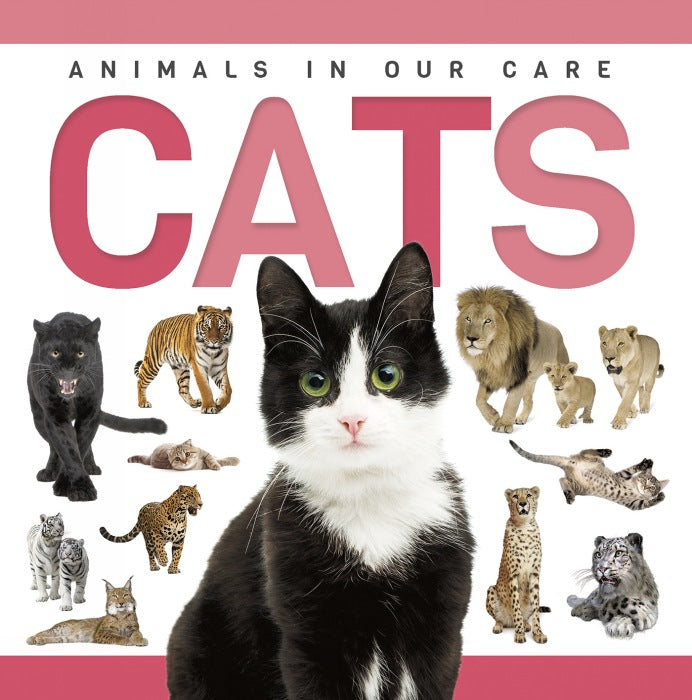 Cats