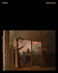 Wildfire