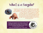 Penny Pangolin Wants a Pet