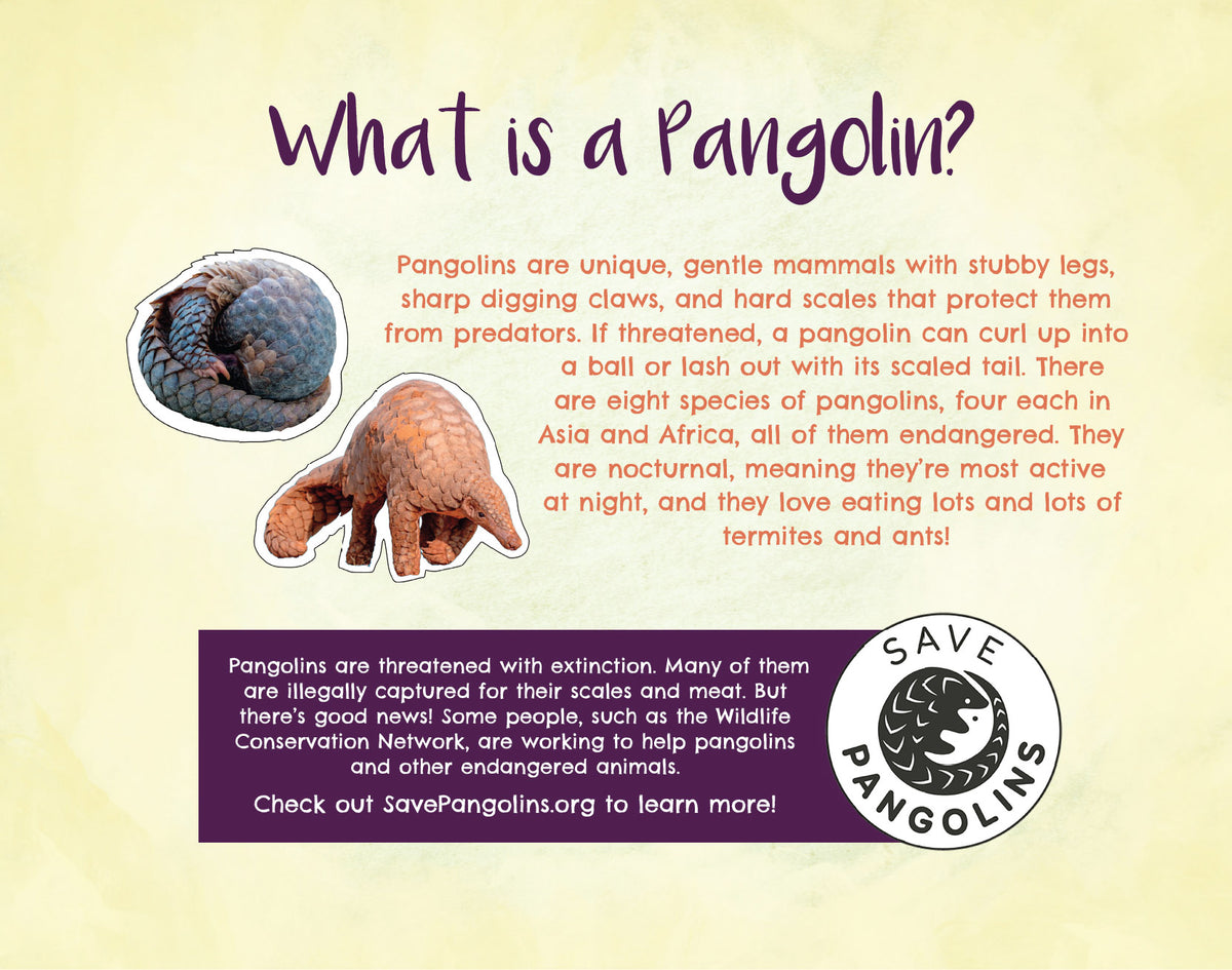 Penny Pangolin Wants a Pet