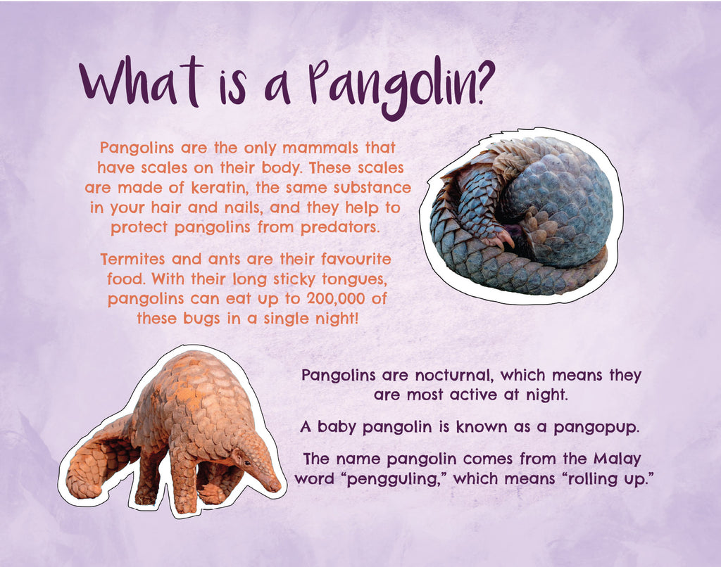 Penny Pangolin and the Rock Soup