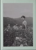 Flower(s) — Vol. 1