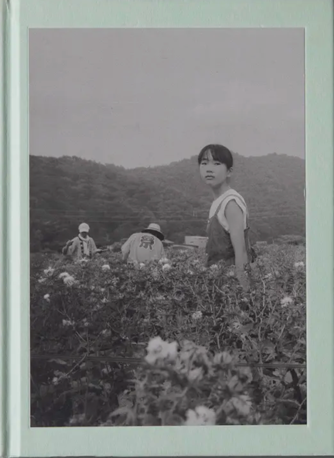 Flower(s) — Vol. 1