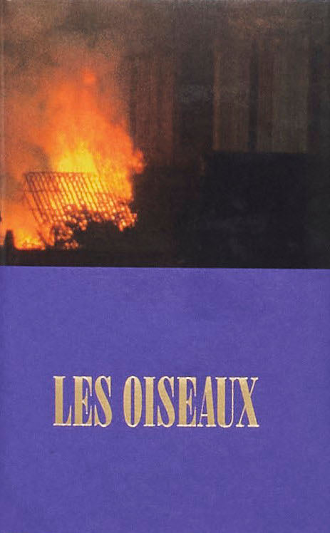 LES OISEAUX